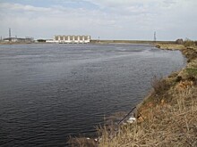 Волонтеры очистили берега Рыбинского водохранилища