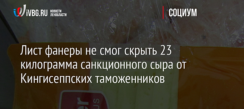 Лист фанеры не смог скрыть 23 килограмма санкционного сыра от Кингисеппских таможенников