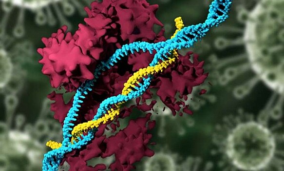 Созданы наночастицы, способные редактировать ДНК