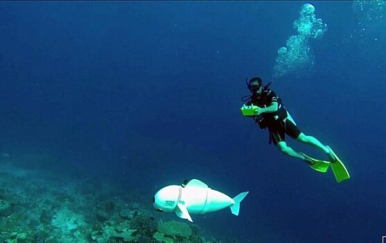 Рыба-робот исследует экосистему океана около Фиджи