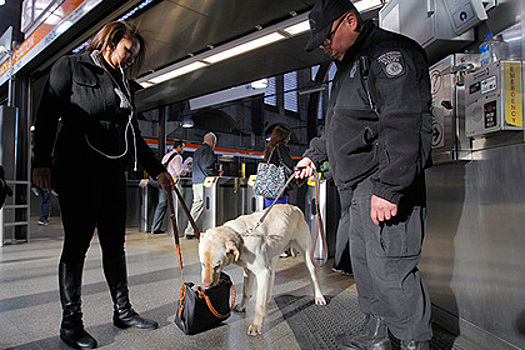 Госдеп США предупредил об угрозе терактов в Европе