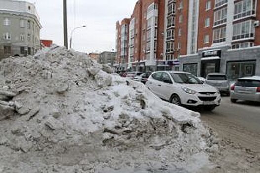 Выше крыши. Новосибирск завалило снегом