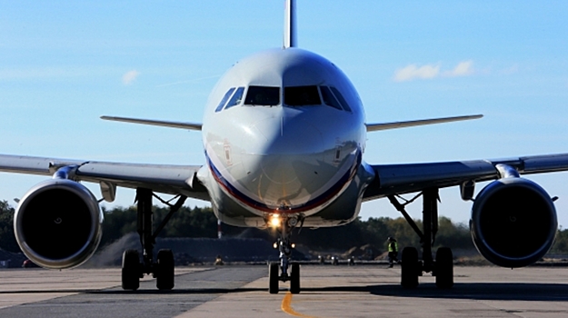 Лиса заставила понервничать пассажиров в питерском Пулкове