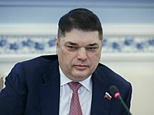 Сенатор Василенко заявил, что РФ и Ирану нужно бороться с угрозой терроризма