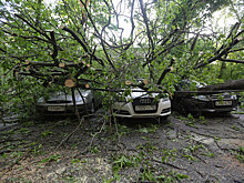 Операторов обяжут предупреждать абонентов о чрезвычайных ситуациях