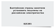 Страны Балтии начали борьбу против электричества из РФ