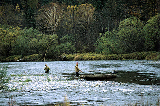 Из реки Амур выловили 26 пар человеческих кистей