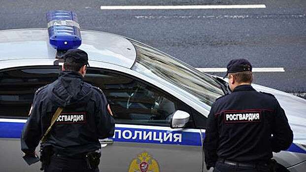 «Слабенькие»: пьяный россиянин наехал на полицейских