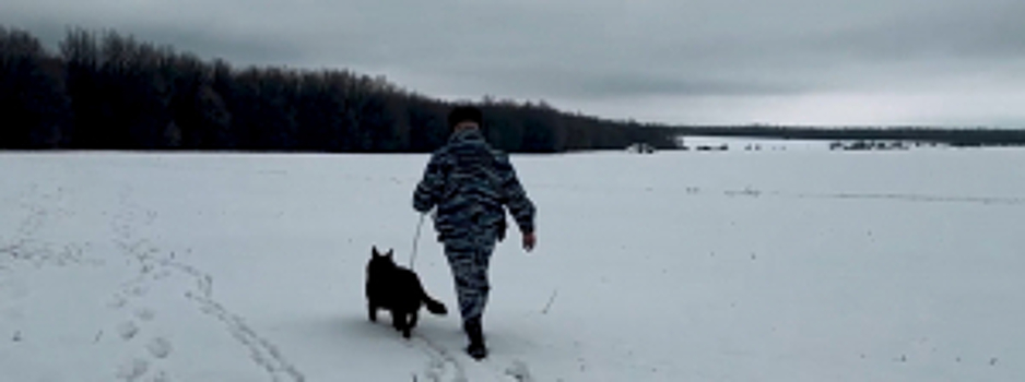 В Липецкой области полицейский-кинолог со служебной собакой нашел потерявшегося в лесу жителя Ставропольского края