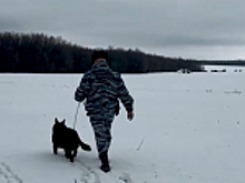 В Липецкой области полицейский-кинолог со служебной собакой нашел потерявшегося в лесу жителя Ставропольского края