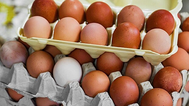 Минсельхоз предложил ввести запрет на экспорт мяса птицы и яиц