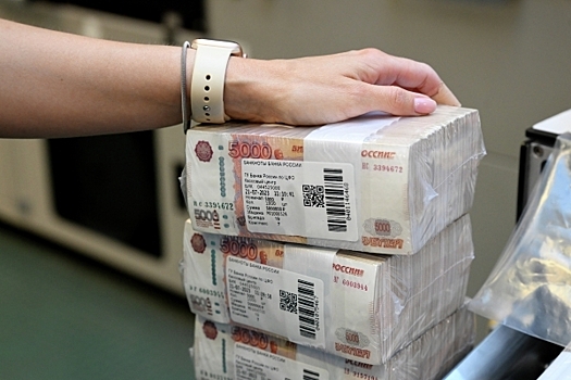 Мошенники организовали первые в России «удаленные ограбления» в Уфе