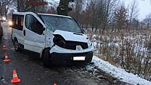 В Черняховском районе Renault врезался в дерево из-за заснеженной дороги
