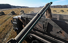 Российские производители зерна ищут новые рынки сбыта