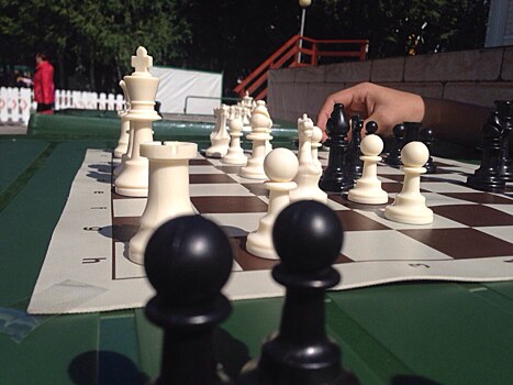 Любителей шахмат из района Коптево ждут в парках Москвы