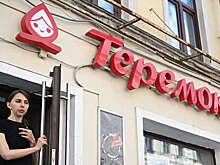 Выручка сети ресторанов "Теремок" в 2022 году выросла до рекордных 7,2 млрд рублей