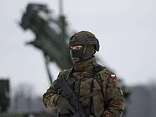 В Госдуме ответили на просьбу разрешить Польше сбивать ракеты над Украиной