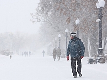Жителей Волгоградской области предупреждают о метели, морозах и сильном ветре