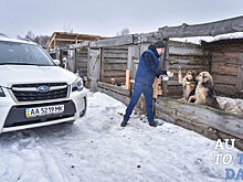 «Субару Мотор» объявила цены на Forester и Outback в 2017 году