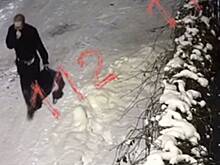 Мужчина пропал в Подмосковье после новогоднего корпоратива