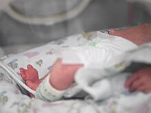 В российском регионе подтвердили смерть девяти младенцев в роддоме