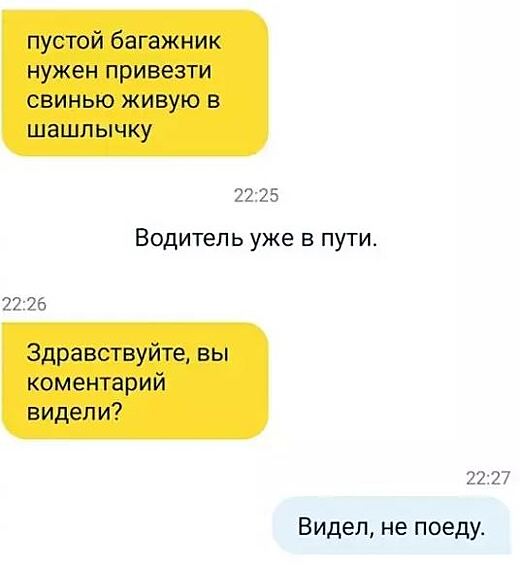 Иногда пассажиры везут с собой что-то совсем неожиданное. Реакция водителя в данном случае — бесценна.