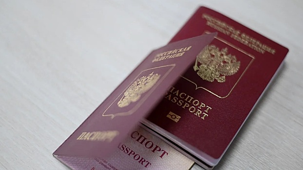 Биометрические паспорта снова доступы