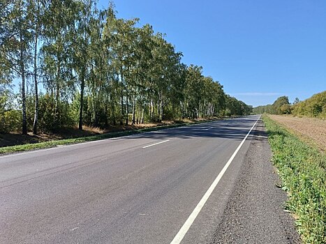 В Курской области по нацпроекту отремонтируют более 220 км дорог