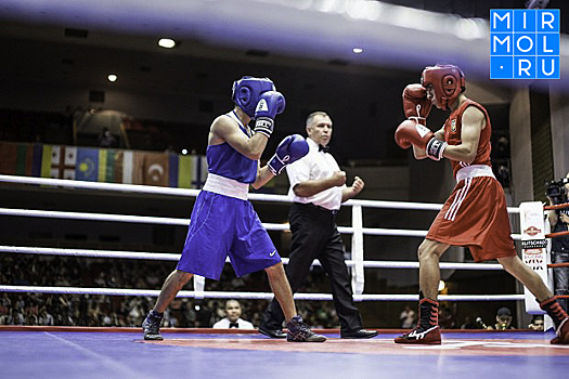 Боксеры со всего света приедут на Международный турнир в Дагестан