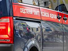 Юный россиянин решил заработать и лишил 50 домов российского СНТ электричества