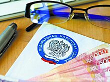 Совфед обсудит вопрос совершенствования налогообложения блогеров