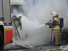 За неделю на пожарах в Татарстане спасли восемь человек