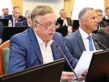 Разработку мер профилактики ДТП с дикими животными поддержали в ЗСНО