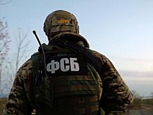 В Крыму задержан планировавший диверсию на ЛЭП агент СБУ