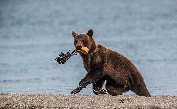 Фотографии обо всем, которые сделают ваш день ярче, а улыбку шире