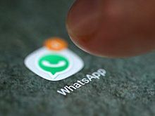 В России призвали заблокировать WhatsApp