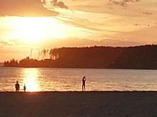 Новосибирцы пожаловались на нудистов, появившихся на общественном пляже Академгородка