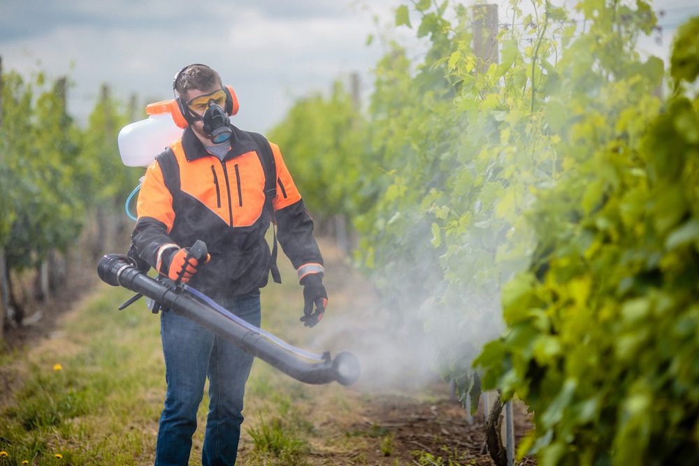 В России могут отложить новые штрафы для холдингов за пестициды