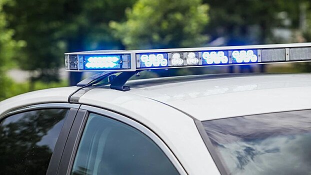 Женщина укусила дорожного инспектора в Красноярском крае