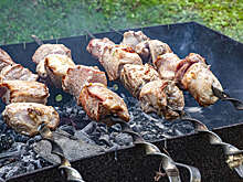 Шашлык из индейки и курицы стал самым популярным у россиян