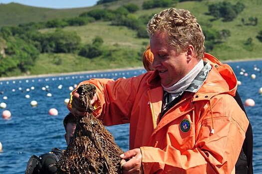 Развитию марикультуры на Дальнем Востоке помешали браконьеры