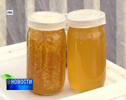 Мёд в Башкортостане подорожал в среднем на 20%