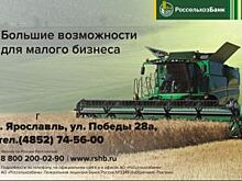 Филиал Россельхозбанка направил на развитие малого и микробизнеса 1,6 млрд