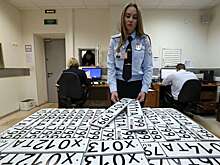 В России предложили бесплатно поменять номера без триколора