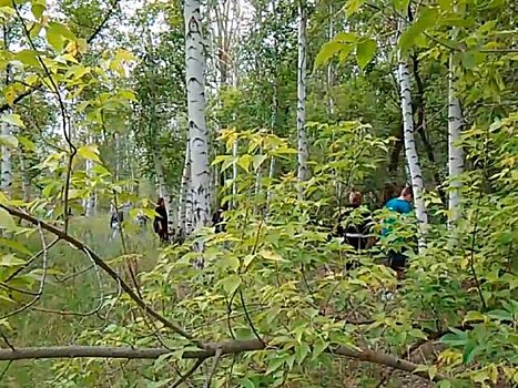 Более 200 человек в Оренбургской области ищут пятилетнюю девочку