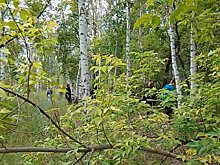 Более 200 человек в Оренбургской области ищут пятилетнюю девочку
