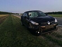 В Татарстане водитель Renault насмерть сбил пешехода