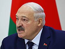 Лукашенко померился картошкой и проиграл