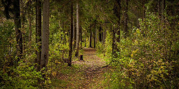 Приметы и поверья на 17 октября: что нельзя делать в Ерофеев день