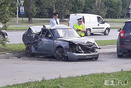 Дорожное видео недели: впечатляющий полёт в дерево, милые косули и шикарный кортеж патриарха